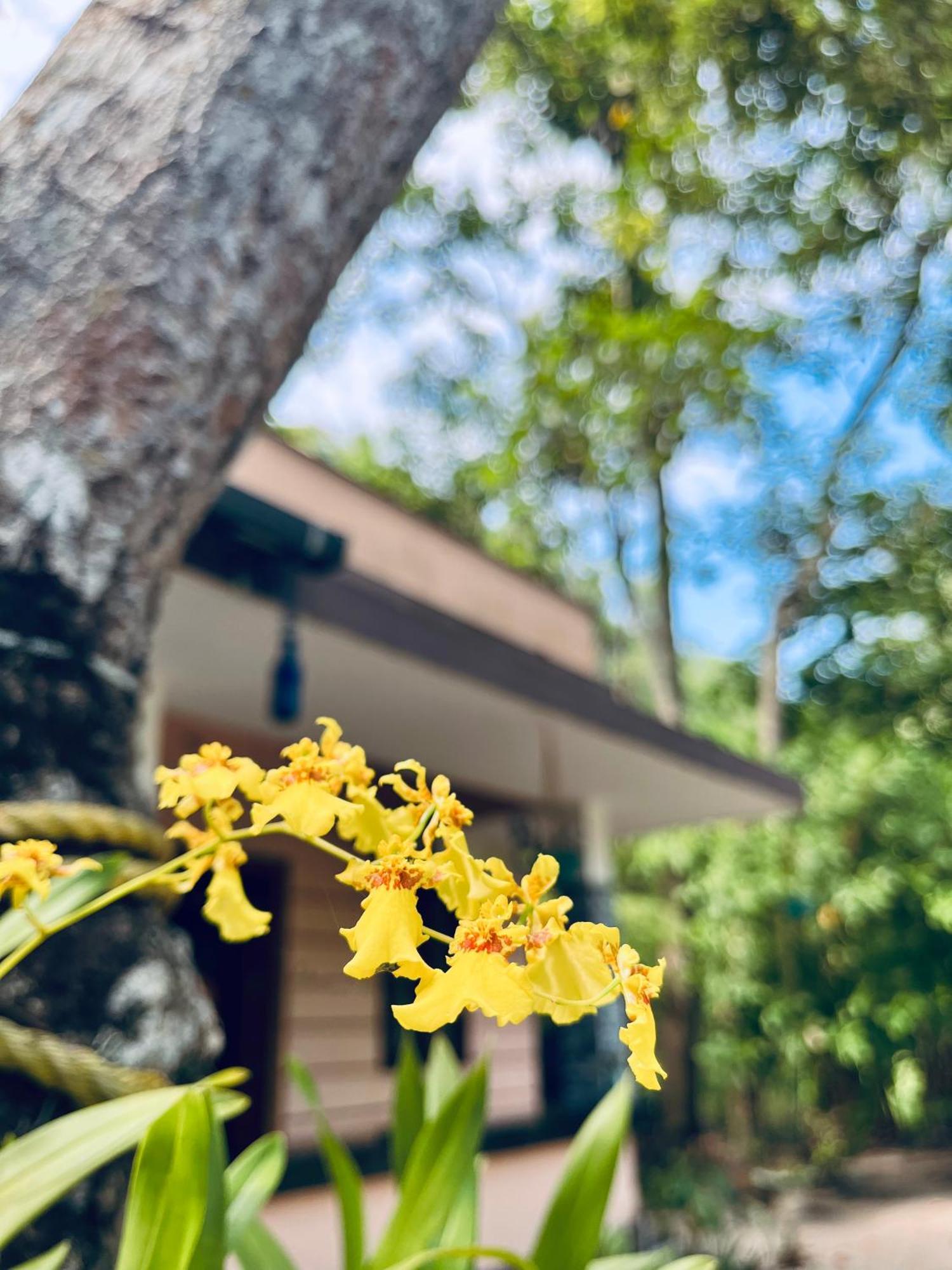 Marari Kallyani Beach Homestay 马拉利库兰 外观 照片