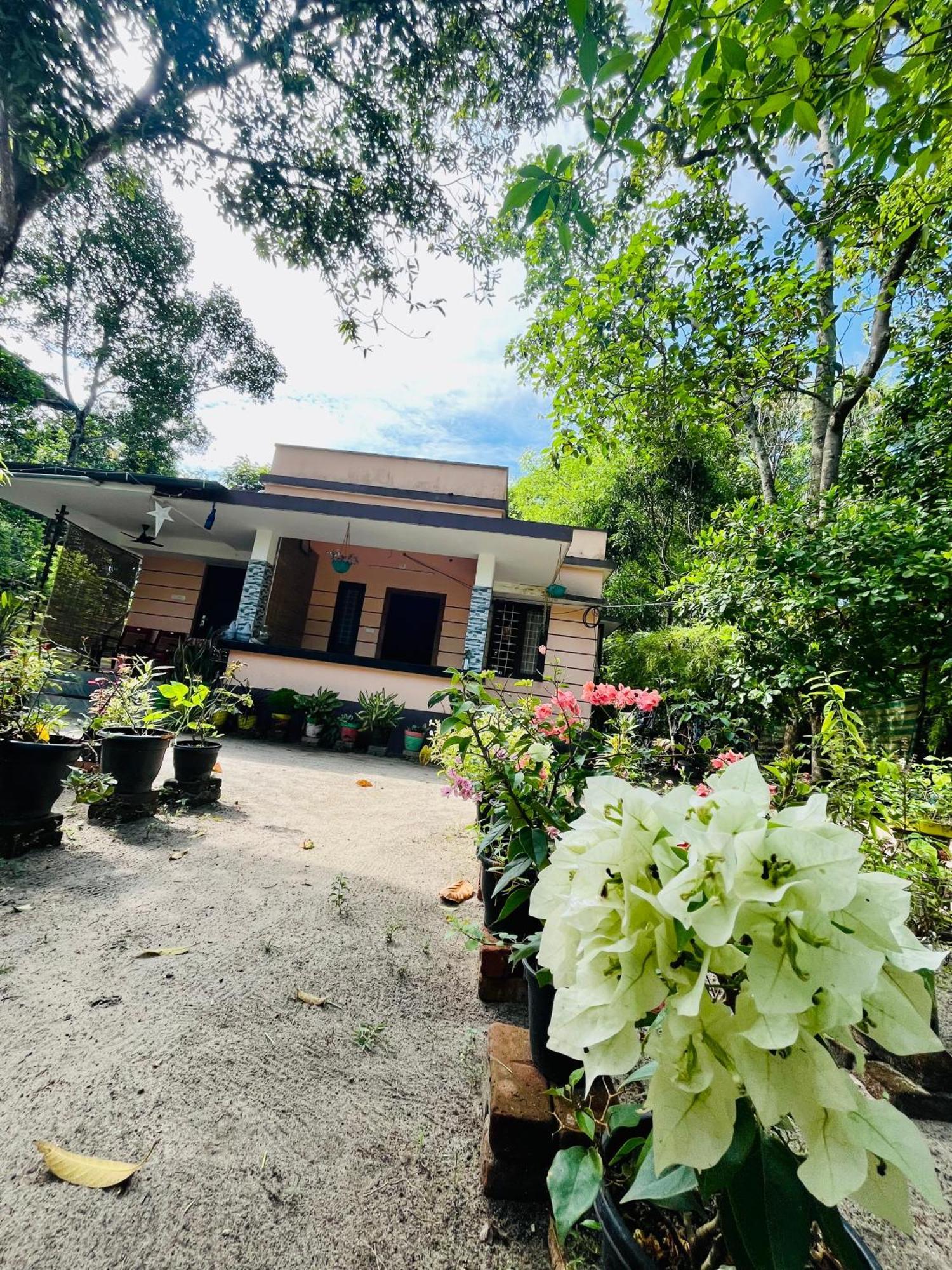 Marari Kallyani Beach Homestay 马拉利库兰 外观 照片