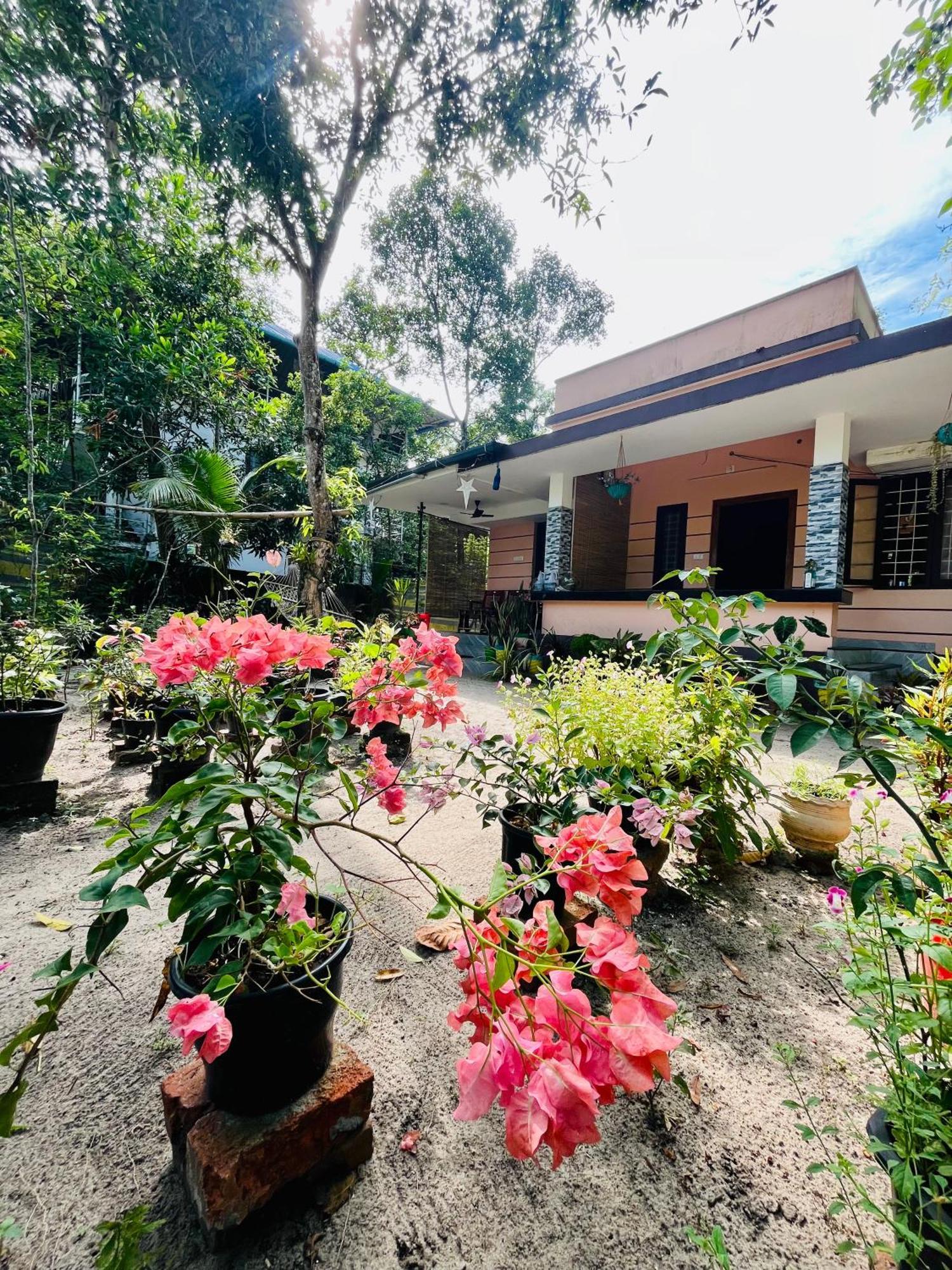 Marari Kallyani Beach Homestay 马拉利库兰 外观 照片